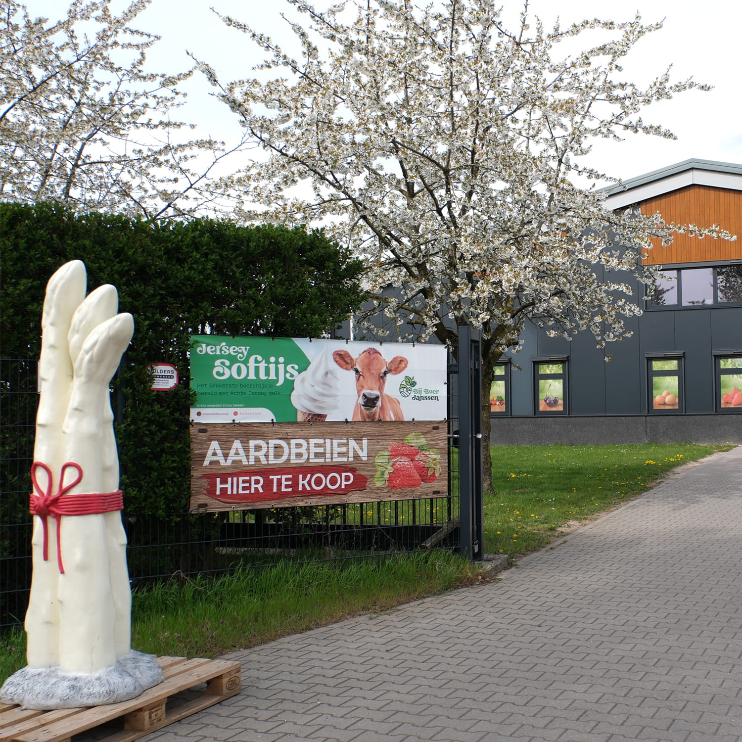 Boerjanssen3 (1)